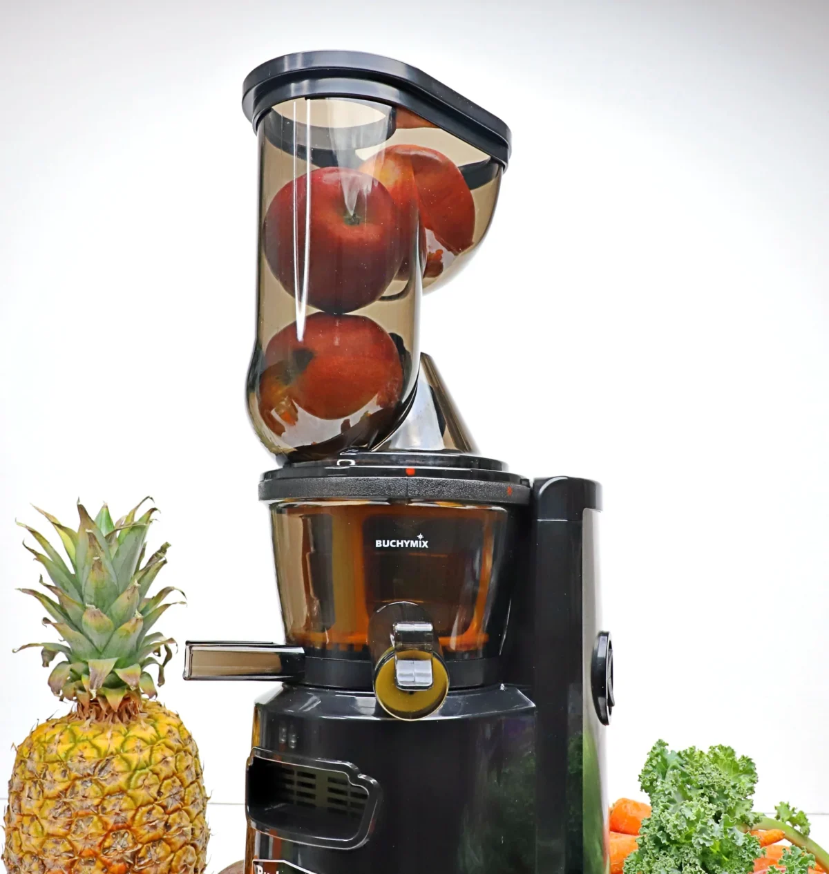 Buy Buchymix Premium Masticating Cold Pressed Juicer With High Torque Motor