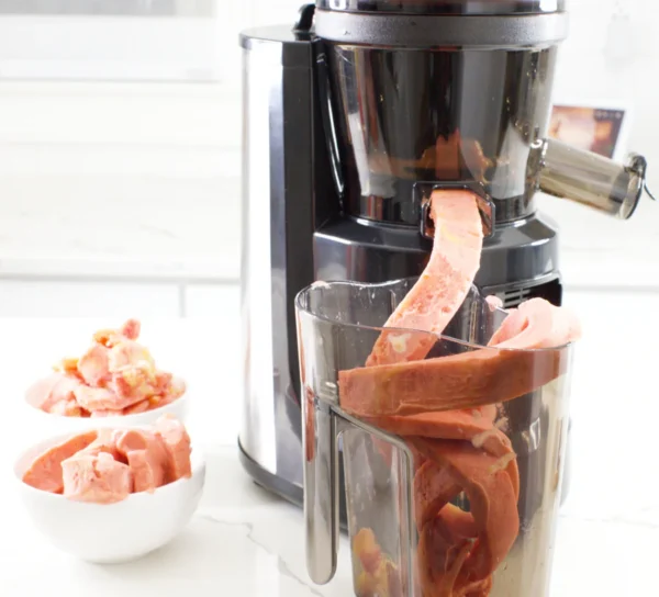 Buy Buchymix Hands Free Cold Pressed Batch Juicer Heavy Duty Motor Online